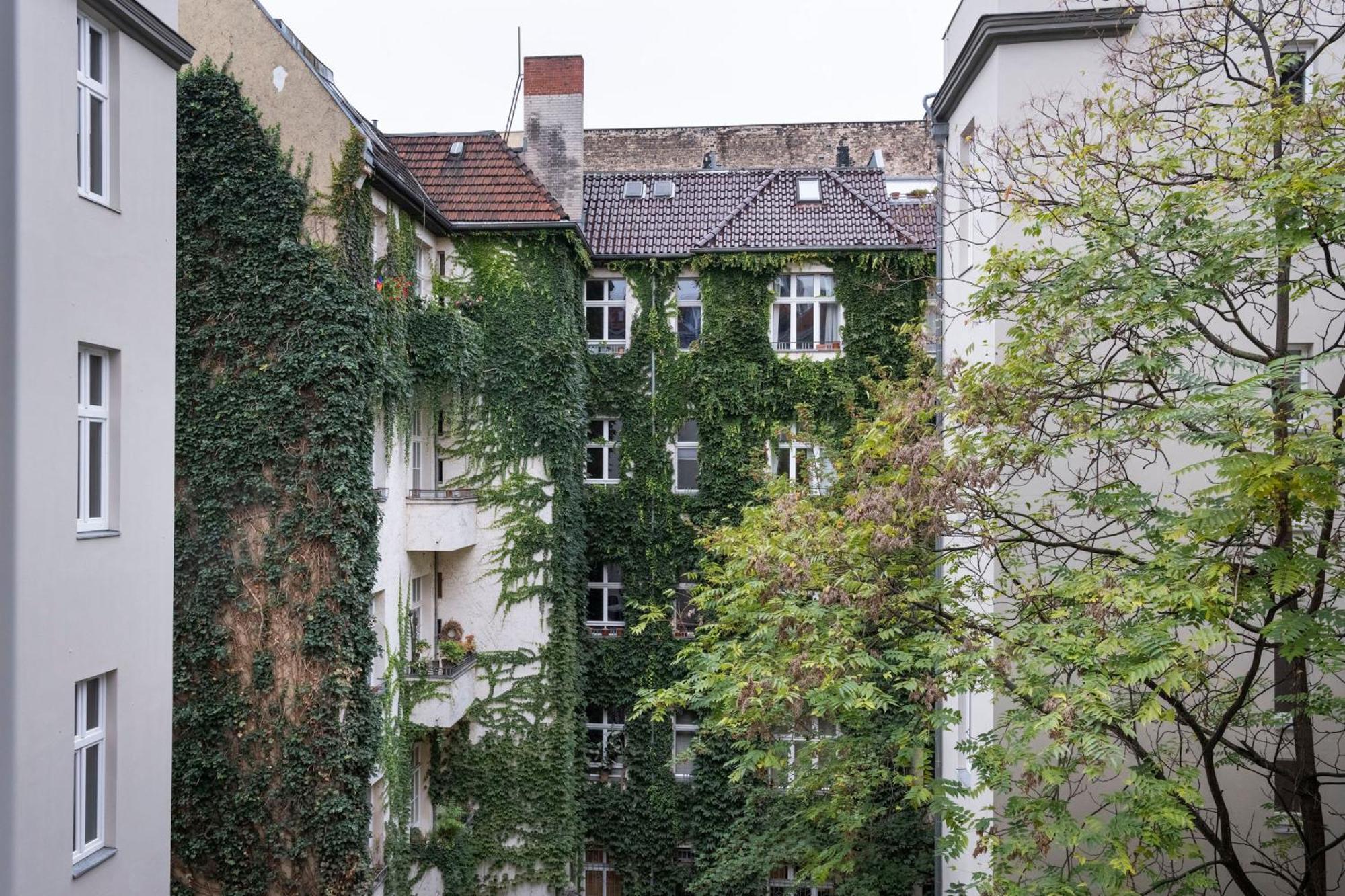 الشقق الفندقية Numa Berlin Novela الغرفة الصورة